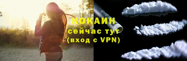 прущие крисы Верея