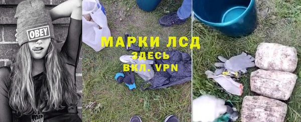 apvp Семилуки