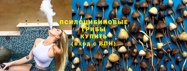 прущие крисы Верея