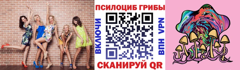 сайты даркнета какой сайт Заполярный Галлюциногенные грибы прущие грибы